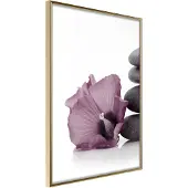 Artgeist Violet Harmony juliste