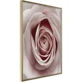 Artgeist Rosebud juliste
