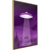 Artgeist Flying Saucer juliste