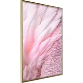 Artgeist Pink Feathers juliste