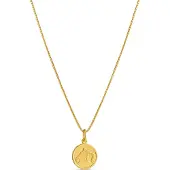 Top Gold Horoskooppi kaulakoru