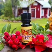 Korpiahon 10 ml propolisuute
