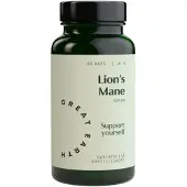 Great Earth Lion`s mane 500mg 60 kaps ravintolisä
