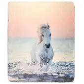 4Living Pony Dream torkkupeite