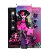 Monster High Draculaura Fashion Doll With Pet Count Fabulous And Accessories - Pink - ONE SIZE