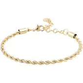 Sno of sweden Exibit Brace Plain Gold 16cm