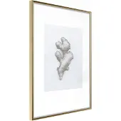 Artgeist Ginger Rhizome juliste