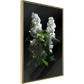 Artgeist White Lilac juliste
