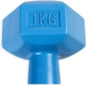 ASG Handweight 1 kg vinyl