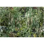 Artgeist Richness of Jungle fototapetti