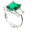 CHIARA FERRAGNI J19awj05012 Rengas