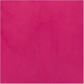 Bruynzeel - Ecola Poster Paint Bottle 16ml Tyrian Pink 359