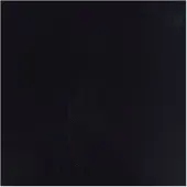 Bruynzeel - Ecola Poster Paint Bottle 16ml Black 700