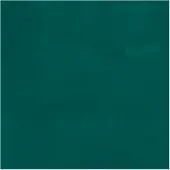 Bruynzeel - Ecola Poster Paint Bottle 16ml Dark Green 602