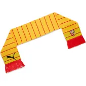 Puma Rc Lens Essentials Scarf, koko One Size