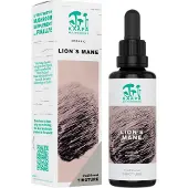 Kärkkäinen Kääpä Mushrooms Lions Mane Soma-uute ravintolisä