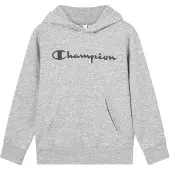 Champion Hooded Sweatshirt - Grey - 162-167