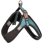 Rogz Valjaat pienelle koiralle Urban Fast-Fit, turkoosi