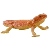 Mojo Fun Wildlife Bearded Dragon