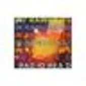 Bertus Distributie Radiohead - In Rainbows (vinyylilevy, LP)