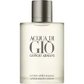 Giorgio Armani Acqua di Gio Homme, After Shave Lotion 100ml