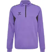 Hummel Collegepaidat HMLAUTHENTIC HALF ZIP SWEAT KIDS 219974-3766