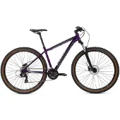 Coluer Ascent 293 29´´ Altus 2025 Mountainbike