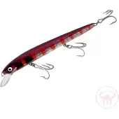 Nils Master Invincible 18 cm vaappu
