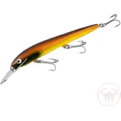 Nils Master Invincible Deep Runner 15 cm vaappu