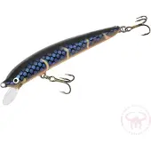 Nils Master Invincible 12 cm vaappu