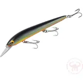 Nils Master Invincible Deep Runner 15 cm vaappu
