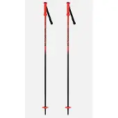 Rossignol Hero Juniorisauvat