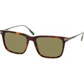 Lacoste Aurinkolasit L6017S 55/17/145 Havana Akryyli MIEHILLE L6017S