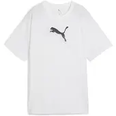 Puma Evostripe Graphic Relaxed Fit Lyhythihainen T-paita