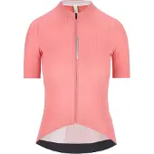 Q36.5 Dottore Pro Kurzarm-radtrikot