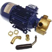 Goldenship Sähköinen Vesipumppu 24v