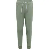 Didriksons Kids' Siljan Pants Light Moss Arkihousut 120