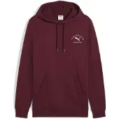 Puma Class Graphic Huppari
