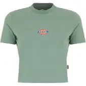 Dickies Maple Valley Lyhythihainen T-paita