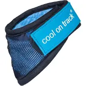 Back on track Cool on Track koiran viilennyshuivi