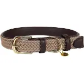 Kentucky Nylon Plaited Koiranpanta