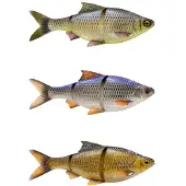 Savage Gear 3d Lt Roach Glidebait 216g 250 Mm