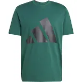 Adidas Essentials Big Logo Lyhythihainen T-paita
