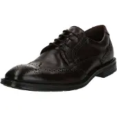 Lloyd X-Motion 140 - Brown - 43