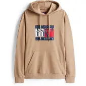 Tommy Hilfiger Rwb Flag Regular Fit Huppari