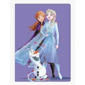 Frost Fleece Plaid Frozen 1037 - Multi/patterned - 100X140CM