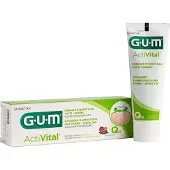 Gum Sunstar GUM D. GUM PASTA ACTIVITAL Q10 75ml6050