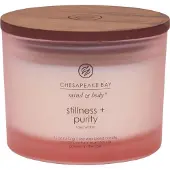 Yankee candle Stillness & Purity kynttilä 312,0 g