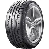 Winrun R330 EV W-SILENT 255/45R20 105W XL RP