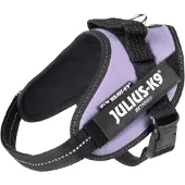 JULIUS K-9 Idc Power Mini Koiran Valjaat